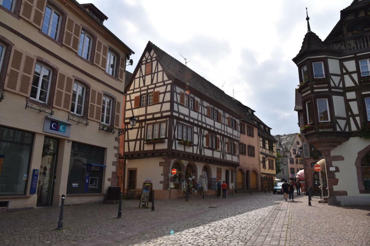 Vila Le Cerisier Kaysersberg-Vignoble Exteriér fotografie