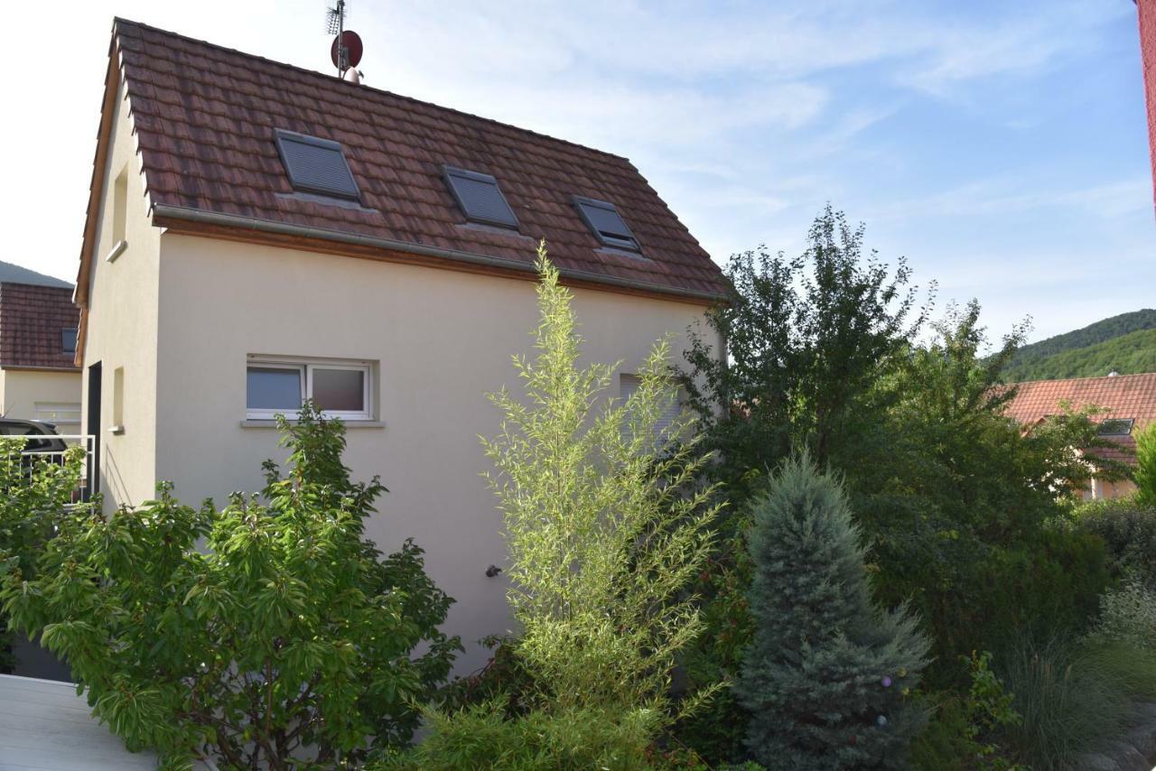 Vila Le Cerisier Kaysersberg-Vignoble Exteriér fotografie