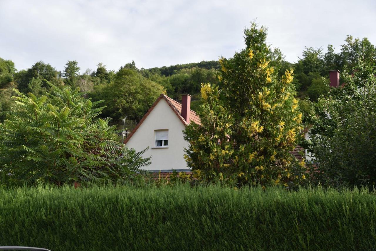 Vila Le Cerisier Kaysersberg-Vignoble Exteriér fotografie