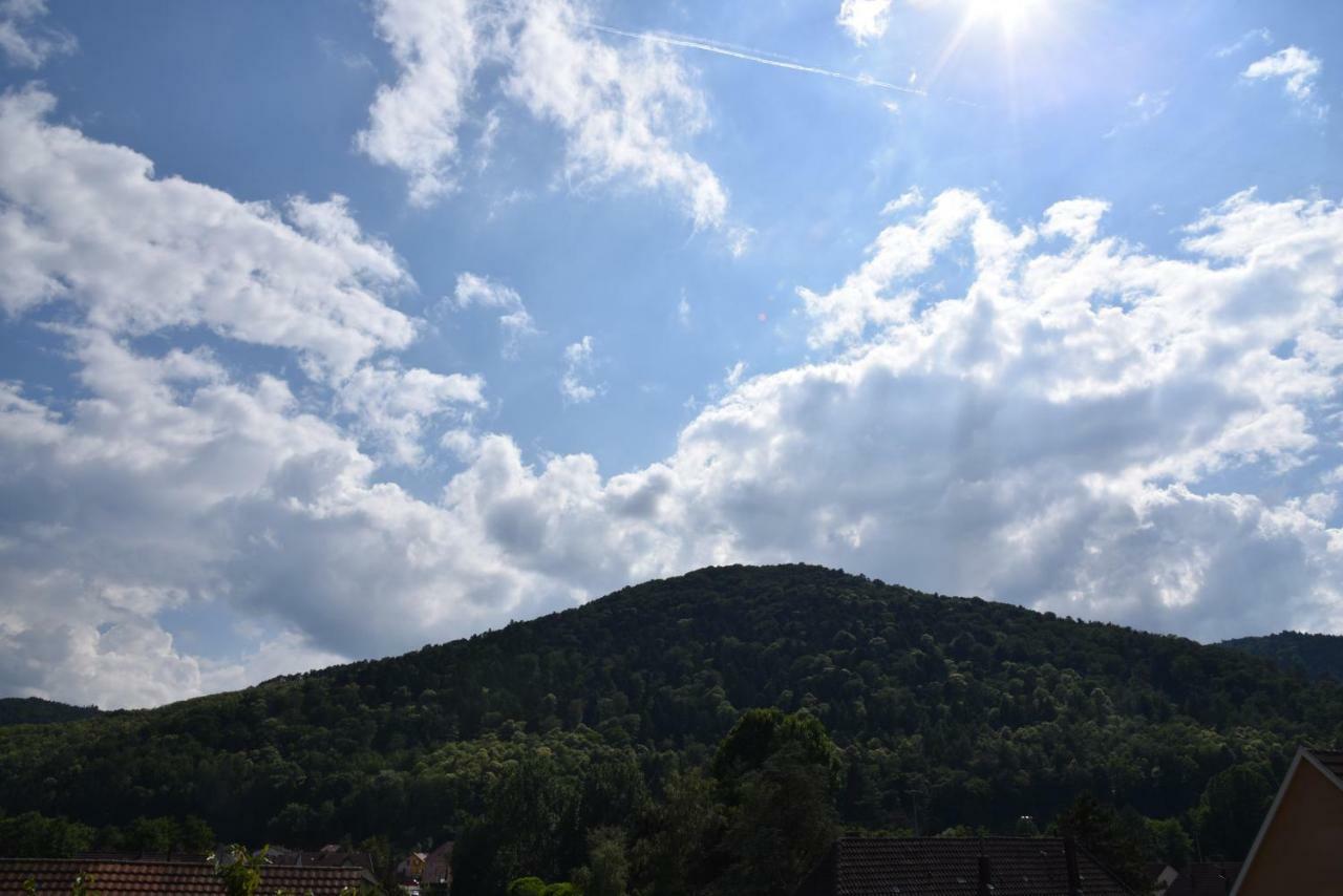 Vila Le Cerisier Kaysersberg-Vignoble Exteriér fotografie